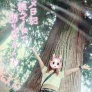 ヒメ日記 2025/10/07 21:35 投稿 REO 清楚