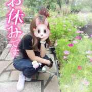 ヒメ日記 2025/10/13 09:13 投稿 REO 清楚