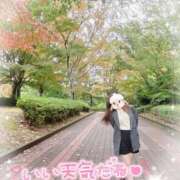 ヒメ日記 2025/11/18 08:42 投稿 REO 清楚