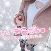 REO ふえん。 清楚