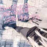 ヒメ日記 2025/12/29 09:41 投稿 REO 清楚