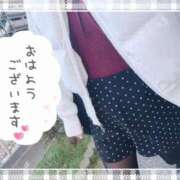 ヒメ日記 2026/01/13 09:24 投稿 REO 清楚