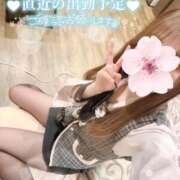 ヒメ日記 2026/02/09 14:23 投稿 REO 清楚