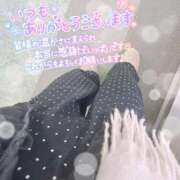 ヒメ日記 2026/02/13 08:40 投稿 REO 清楚