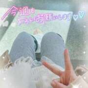 ヒメ日記 2026/02/16 09:37 投稿 REO 清楚