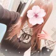 ヒメ日記 2026/02/18 08:13 投稿 REO 清楚