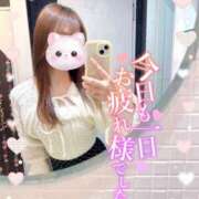 ヒメ日記 2026/02/24 20:28 投稿 REO 清楚