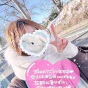 ヒメ日記 2026/03/12 08:14 投稿 REO 清楚