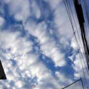 ヒメ日記 2026/03/14 07:58 投稿 REO 清楚