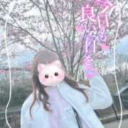 ヒメ日記 2026/03/15 13:29 投稿 REO 清楚