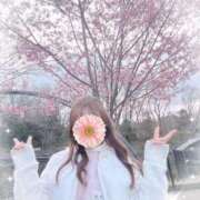 ヒメ日記 2026/03/19 09:22 投稿 REO 清楚