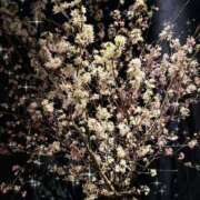 ヒメ日記 2026/03/20 20:22 投稿 REO 清楚