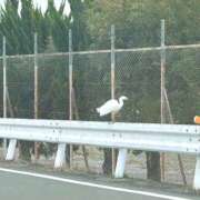 ヒメ日記 2026/03/22 23:19 投稿 REO 清楚