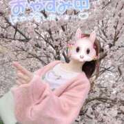 ヒメ日記 2026/03/26 18:16 投稿 REO 清楚