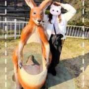 ヒメ日記 2026/03/31 08:03 投稿 REO 清楚