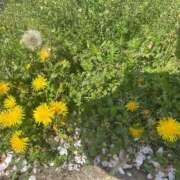 ヒメ日記 2026/04/06 21:38 投稿 REO 清楚