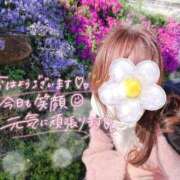 ヒメ日記 2026/04/08 08:29 投稿 REO 清楚