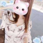 ヒメ日記 2026/04/11 14:09 投稿 REO 清楚