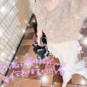 ヒメ日記 2026/04/18 13:41 投稿 REO 清楚