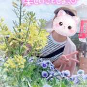 REO もしかして 清楚