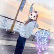 ヒメ日記 2026/04/23 09:23 投稿 REO 清楚