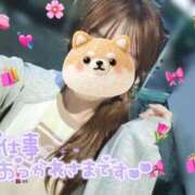 ヒメ日記 2026/05/15 21:49 投稿 REO 清楚