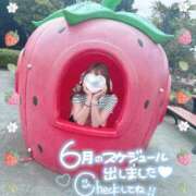 ヒメ日記 2026/06/01 14:11 投稿 REO 清楚