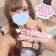 ヒメ日記 2025/11/29 01:15 投稿 すい 素人系イメージSOAP 彼女感 宇都宮本館