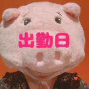 ヒメ日記 2025/02/06 21:09 投稿 成瀬まこ プレジデントハウス