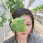 ヒメ日記 2025/02/26 22:04 投稿 成瀬まこ プレジデントハウス