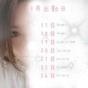 ヒメ日記 2025/03/02 00:05 投稿 成瀬まこ プレジデントハウス