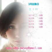 ヒメ日記 2025/03/02 20:40 投稿 成瀬まこ プレジデントハウス