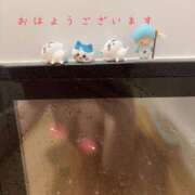 ヒメ日記 2025/03/05 05:13 投稿 成瀬まこ プレジデントハウス