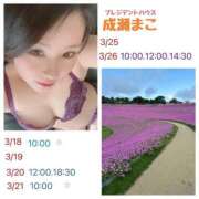 ヒメ日記 2025/03/17 19:15 投稿 成瀬まこ プレジデントハウス