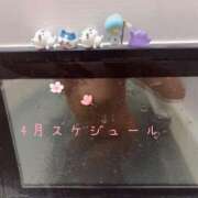 ヒメ日記 2025/03/22 23:20 投稿 成瀬まこ プレジデントハウス