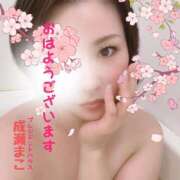 ヒメ日記 2025/03/23 05:58 投稿 成瀬まこ プレジデントハウス