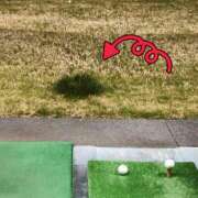 ヒメ日記 2025/03/24 22:29 投稿 成瀬まこ プレジデントハウス