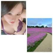 ヒメ日記 2025/03/26 09:34 投稿 成瀬まこ プレジデントハウス