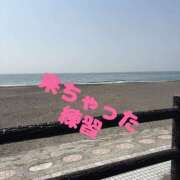 ヒメ日記 2025/03/27 16:33 投稿 成瀬まこ プレジデントハウス