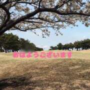 ヒメ日記 2025/04/04 06:10 投稿 成瀬まこ プレジデントハウス