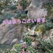 ヒメ日記 2025/04/05 06:01 投稿 成瀬まこ プレジデントハウス