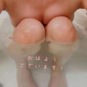 ヒメ日記 2025/04/15 06:23 投稿 成瀬まこ プレジデントハウス