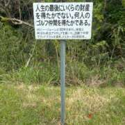 ヒメ日記 2025/04/28 16:08 投稿 成瀬まこ プレジデントハウス