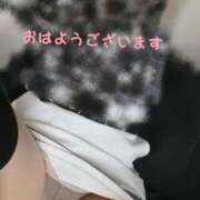 ヒメ日記 2025/06/08 06:19 投稿 成瀬まこ プレジデントハウス