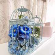 ヒメ日記 2025/06/30 15:19 投稿 成瀬まこ プレジデントハウス