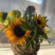 ヒメ日記 2025/07/25 05:50 投稿 成瀬まこ プレジデントハウス