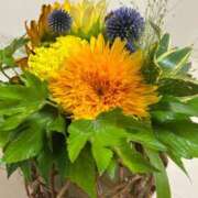 ヒメ日記 2025/07/26 18:39 投稿 成瀬まこ プレジデントハウス