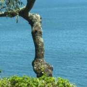 ヒメ日記 2025/09/01 23:10 投稿 成瀬まこ プレジデントハウス