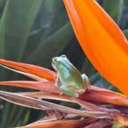 ヒメ日記 2025/09/29 12:48 投稿 成瀬まこ プレジデントハウス