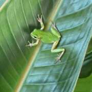 ヒメ日記 2025/09/29 21:53 投稿 成瀬まこ プレジデントハウス